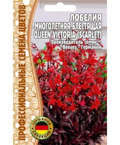 Лобелия многолетняя Квин Виктория 5 шт РЕДКИЕ СЕМЕНА