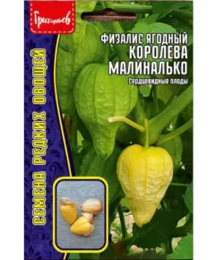 Физалис ягодный Королева Малиналько 10 шт РЕДКИЕ СЕМЕНА