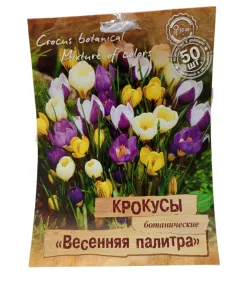 Крокус ботанические Весенняя палитра 50 шт ПОИСК