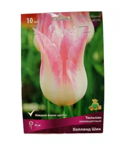 Тюльпан лилиецветный Холланд Шик 10 шт ПОИСК