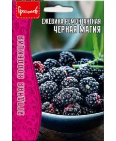 Ежевика Черная Магия 0,05 г РЕДКИЕ СЕМЕНА