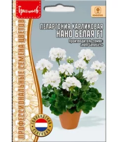 Пеларгония карликовая Нано Белая F1 3 шт РЕДКИЕ СЕМЕНА