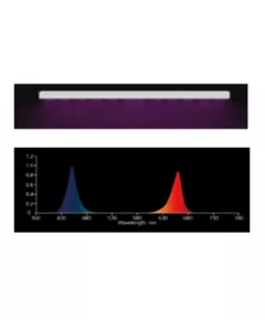Лампа NANOLUX Нанолюкс BAR-B/R110 V1.0 110Вт красный и синий свет
