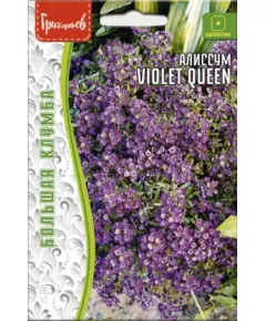 Алиссум VIOLET QUEEN 0,1 г РЕДКИЕ СЕМЕНА