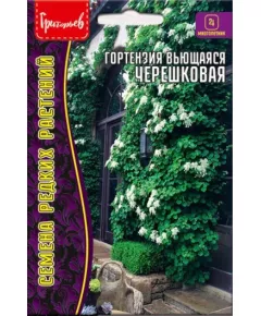 Гортензия Черешковая вьющаяся 20 шт РЕДКИЕ СЕМЕНА