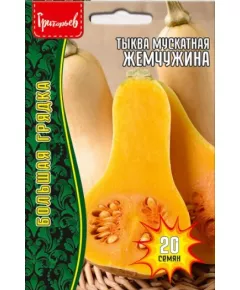 Тыква мускатная Жемчужина 20 шт РЕДКИЕ СЕМЕНА