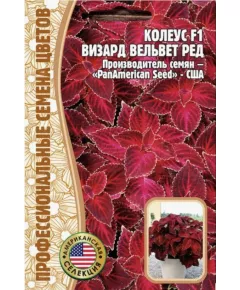 Колеус Визард Вельвет Ред F1 5 шт РЕДКИЕ СЕМЕНА