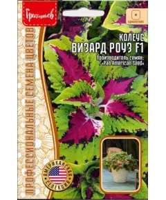 Колеус Визард Розе F1 5 шт РЕДКИЕ СЕМЕНА