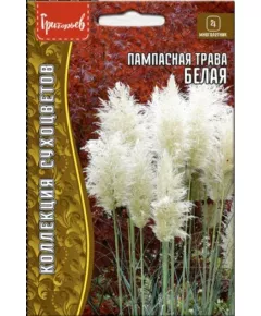 Пампасная трава Белая 0,01 г РЕДКИЕ СЕМЕНА