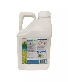 Импакт КС фунгицид