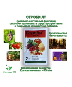 ЛТ Строби 2 г