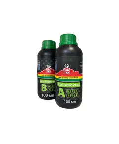 RASTEA ECO-HYDRO VEGA A/B 100 мл