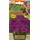 Петуния мн цв Мамбо F1 фиолетовая 7 шт АЭЛИТА