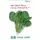 Репа листовая Салад Комацуна F1 0,5 г Сады Азии