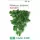 Перилла зеленая Аожисо 0,5 г Сады Азии