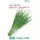 Лук батун Винтер Сильвер F1 0,5 г Сады Азии