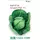 Капуста б/к Альбатрос F1 10 шт Сады Азии