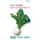 Репа Кокабу Ажи Салад Кабу F1 0,5 г Сады Азии