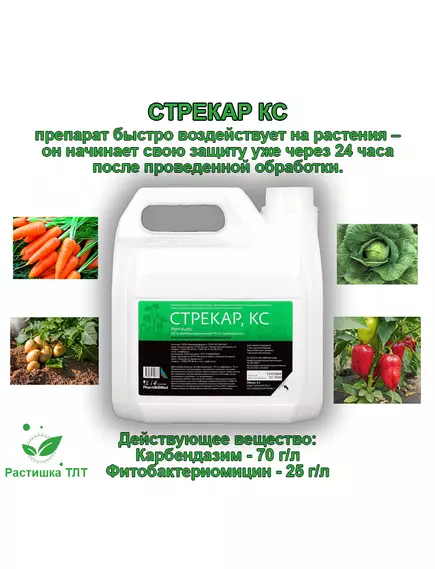 Стрекар КС Бактофунгицид от смешанных заболеваний 3 л