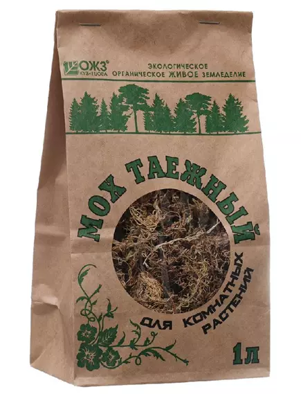 Мох Таежный