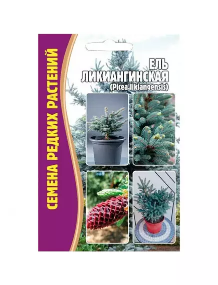 Ель Ликиангинская  15 шт РЕДКИЕ СЕМЕНА