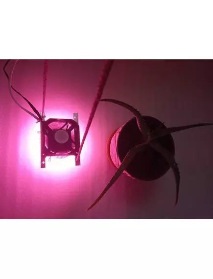 Светильник светодиодный полного спектра с активным охлаждением 50 W