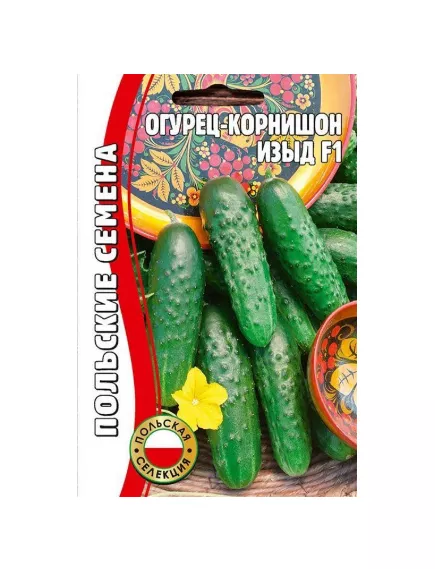 Огурец Изыд (корнишон) 10 шт РЕДКИЕ СЕМЕНА