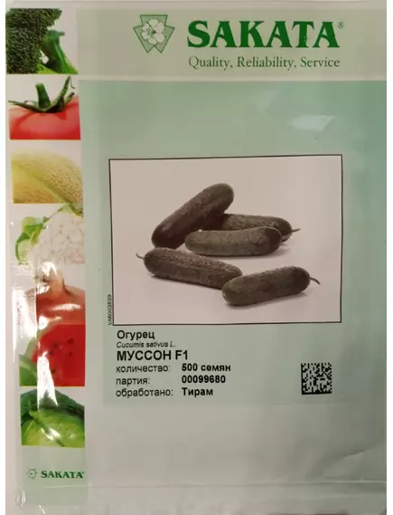 Огурец Муссон F1 10 шт SAKATA