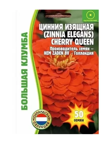 Цинния Черри Квин изящная 50 шт  РЕДКИЕ СЕМЕНА