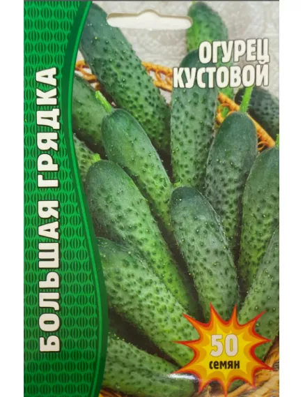 Огурец Кустовой 30 шт РЕДКИЕ СЕМЕНА