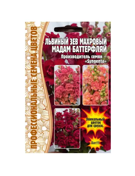 Львиный  Зев Мадам Баттерфляй Три Цвета Бронзы 7 шт РЕДКИЕ СЕМЕНА