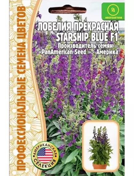 Лобелия Старшип Блю прекрасная 3 шт РЕДКИЕ СЕМЕНА
