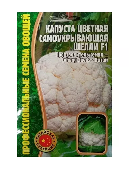 Капуста цветная Шелли самоукрывающая F1 10 шт РЕДКИЕ СЕМЕНА