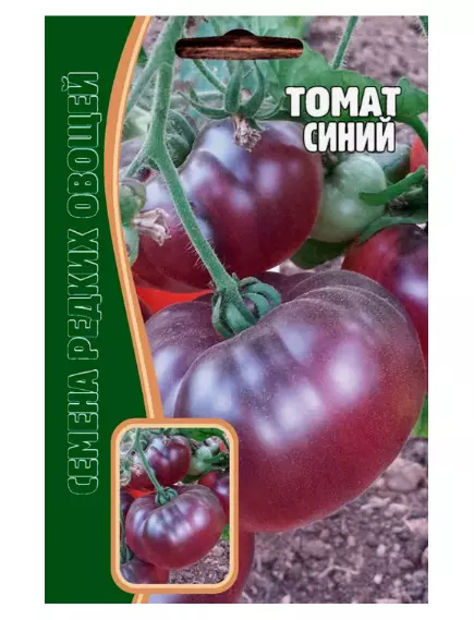 Томат Синий 12 шт РЕДКИЕ СЕМЕНА