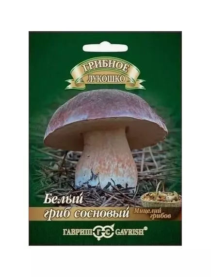 Белый Гриб Сосновый на зерновом  субстрате 15 мл