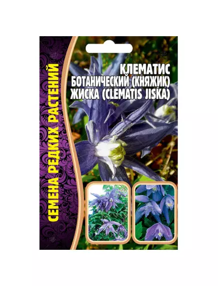 Клематис ботанический (княжик) Жиска 3 шт РЕДКИЕ СЕМЕНА