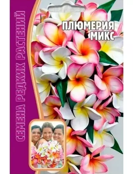 Плюмерия Микс 3 шт РЕДКИЕ СЕМЕНА