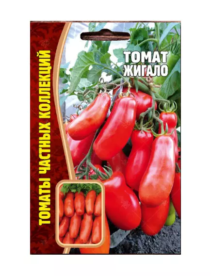 Томат Жигало 10 шт РЕДКИЕ СЕМЕНА