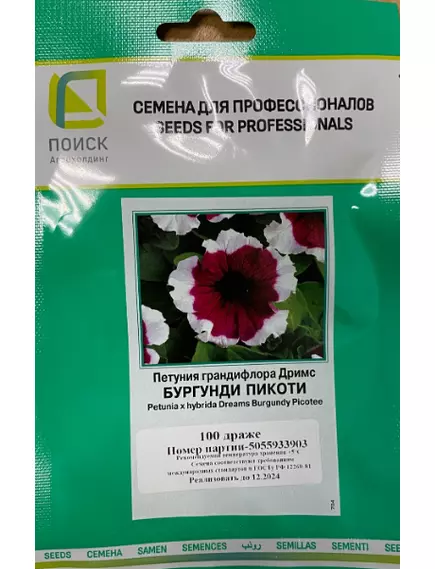 Петуния грандифлора Дримс Бургунди Пикоти 100 шт ПОИСК