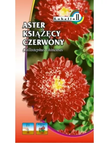 Астра княжеская красная LOBELIA II 1 г