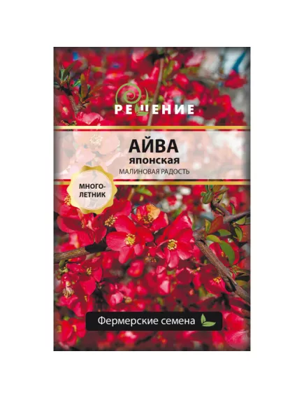 Айва японская Малиновая Радость 10 шт РЕДКИЕ СЕМЕНА