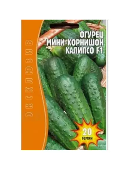 Огурец Калипсо мини корнишон  F1 20 шт РЕДКИЕ СЕМЕНА