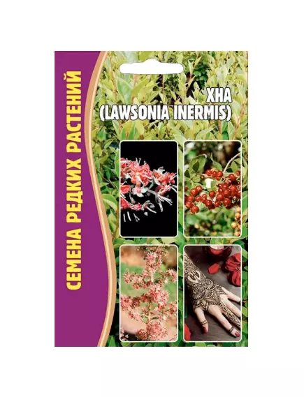 Хна Лавсония Инермис 10 шт РЕДКИЕ СЕМЕНА