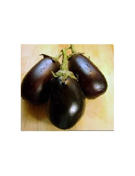 Баклажан салатный Мизунотакуми F1  5 шт Сады Азии