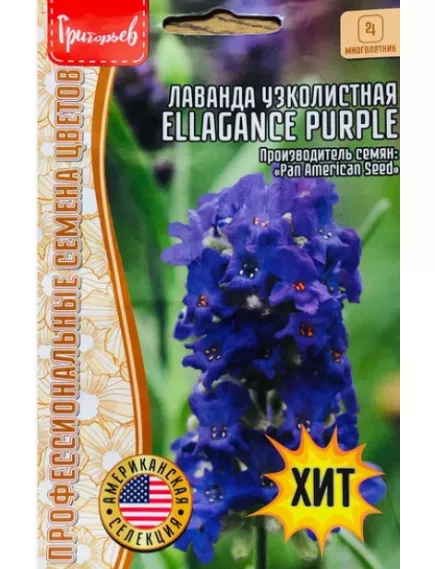 Лаванда ELEGANCE PURPLE 5 шт РЕДКИЕ СЕМЕНА