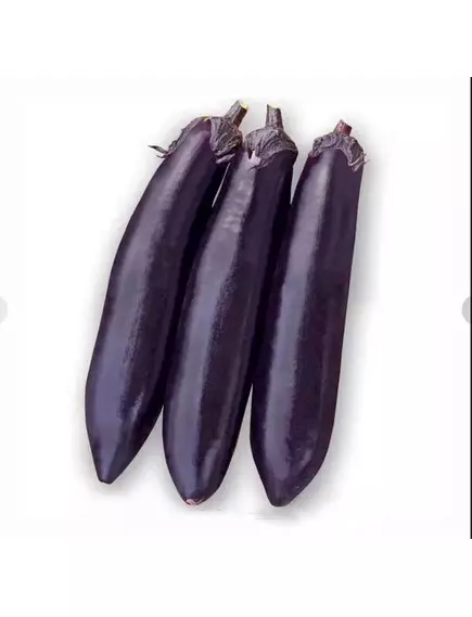 Баклажан Яваракай F1 5 шт Сады Азии