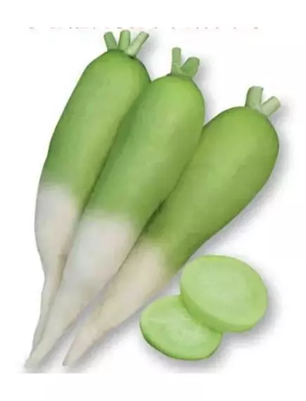 Дайкон Мисато Грин F1 0,5 г Сады Азии