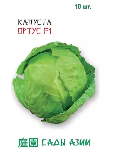 Капуста б/к Ортус F1 10 шт Сады Азии