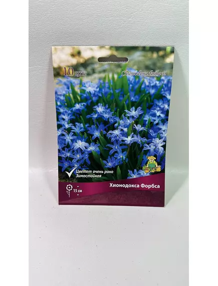 Хионодокса Форбса 10шт ПОИСК