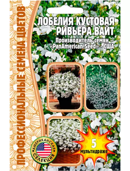 Лобелия Ривьера Вайт кустовая  F1 5 шт РЕДКИЕ СЕМЕНА